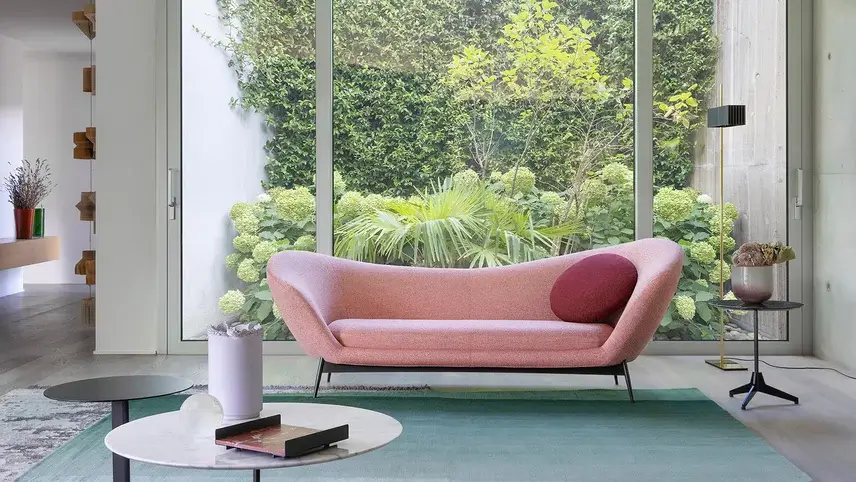 Modern living room with a stylish sofa showcasing different back styles for comfort and design inspiration.