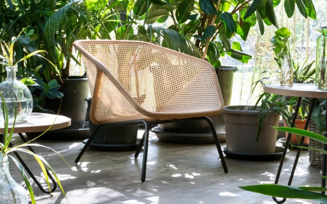 Colony Armchair